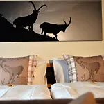 Hotel Hotel Cabana Grindelwald