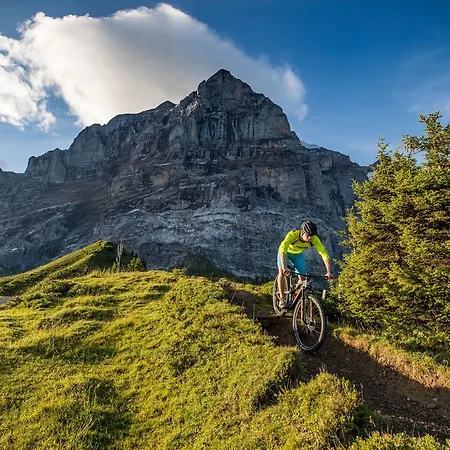 酒店 卡巴那酒店 格林德瓦