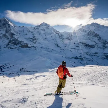 كابانا فندق جريندلوالد