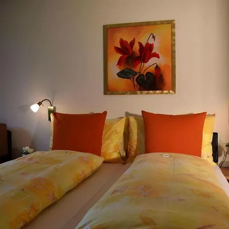 Отель Hotel Cabana 3*