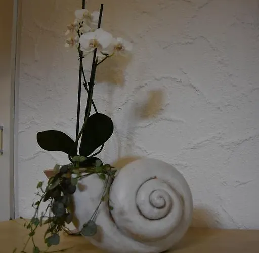 Отель Hotel Cabana