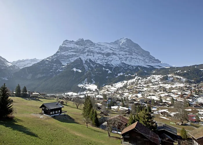 Отель Hotel Cabana