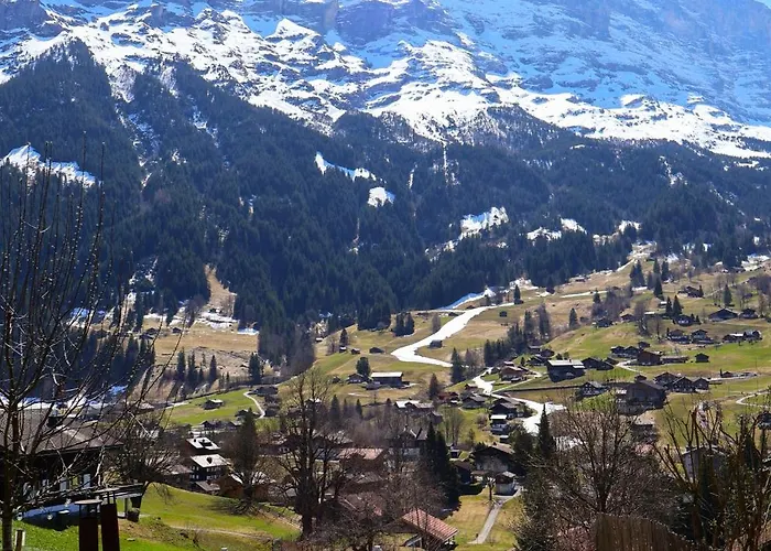 Hotel Hotel Cabana 3*