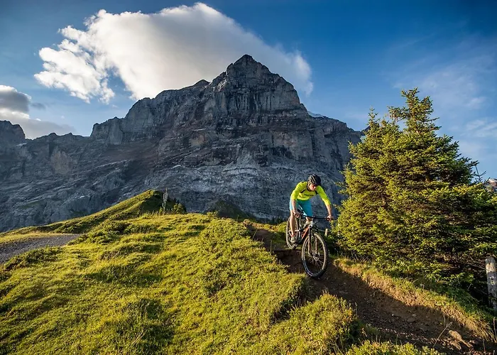 Szálloda Hotel Cabana Grindelwald