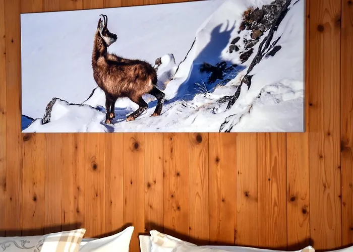 Hotel Cabana Szálloda 3*