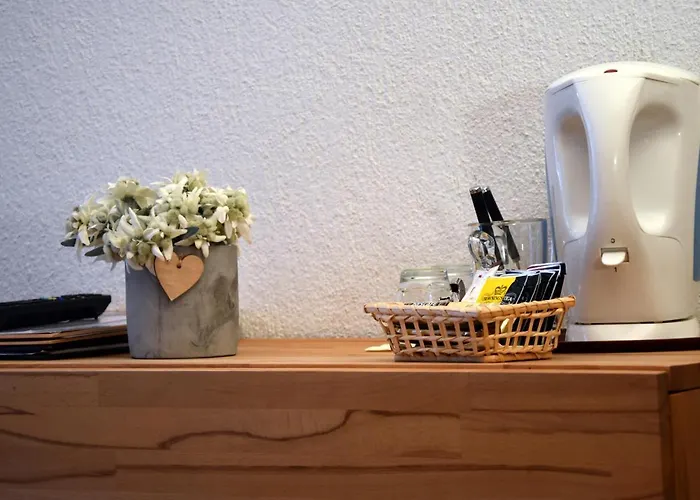 카바나 호텔 그린델발트