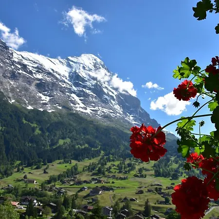 Hotel Cabana Hotel 3*