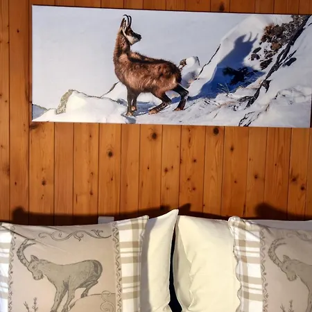 Hotel Hotel Cabana Grindelwald