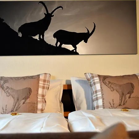 Hotel Hotel Cabana Grindelwald