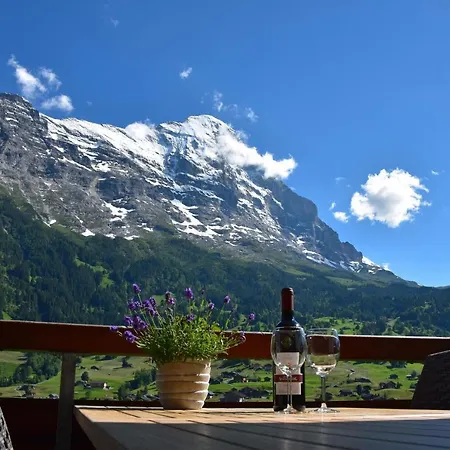 Hotel Hotel Cabana Grindelwald